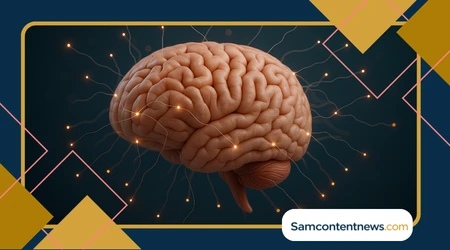 keep-your-brain-sharp How to keep your brain sharp Every Day