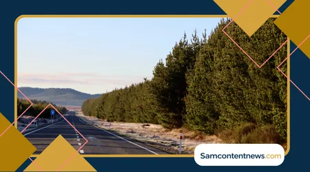 Best-scenic-road-trips-for-silver-travelers-1 Best scenic road trips for silver travelers