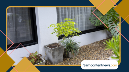 create-a-low-maintenance-garden-1 How to create a low maintenance garden